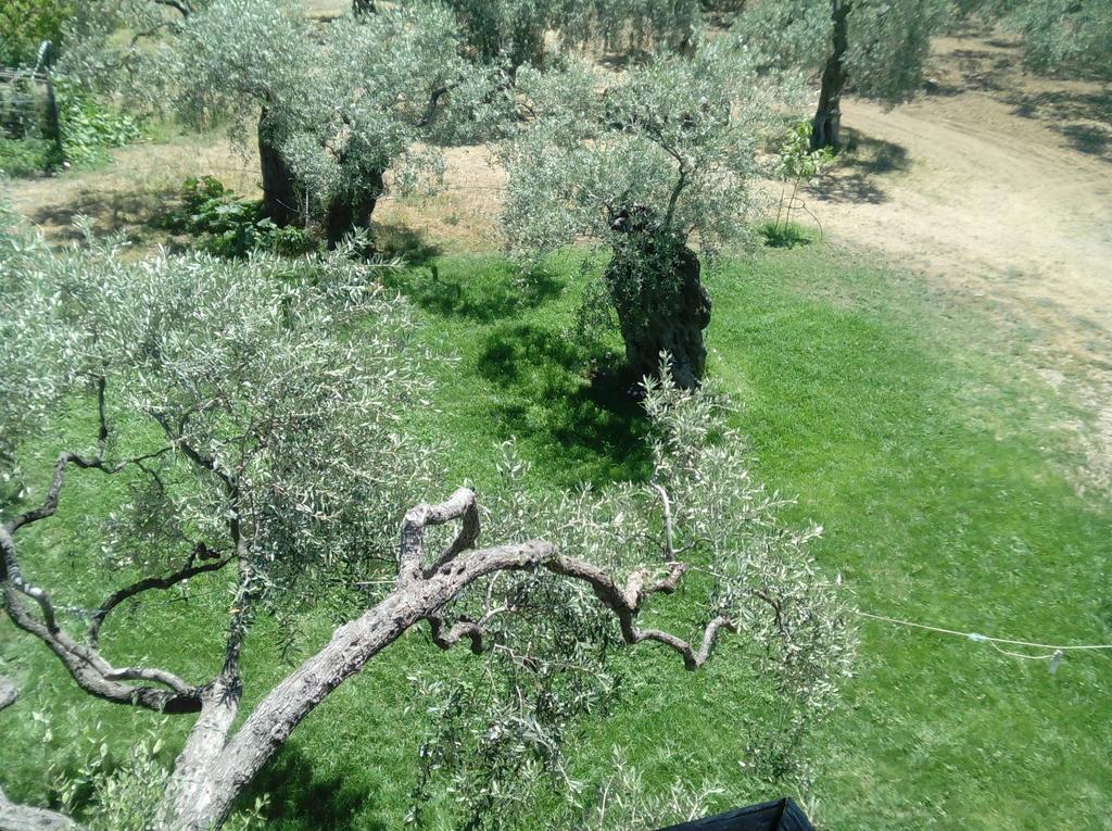 Villa Thomi Skala Rachoni  외부 사진
